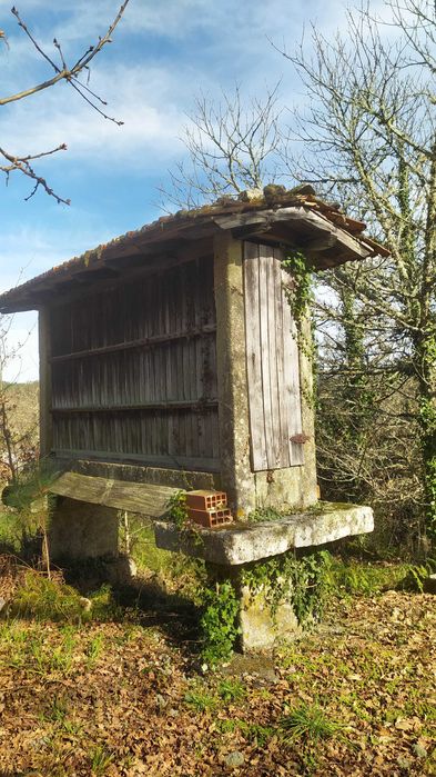 Espigueiro ou canastro centenário em pedra.