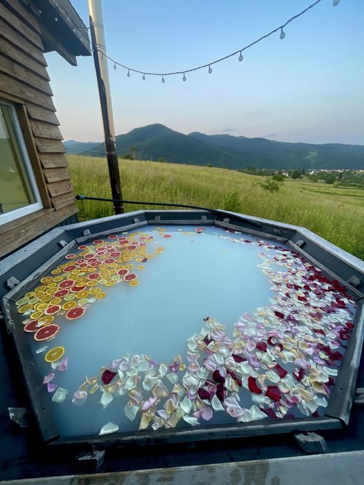 “Freedom” house. Free.dom.23. Котедж в Закарпатті