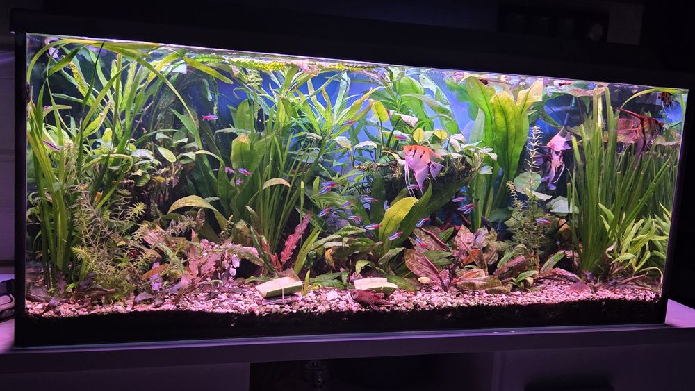 Akwarium 240L 120x50x40