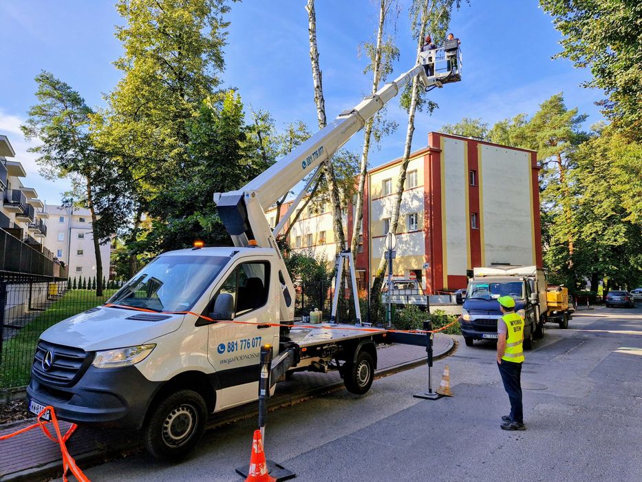 Wicinanie drzew, przycinanie koron, podnośnik koszowy, rębak do gałęzi