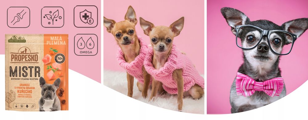 Sucha karma dla psa Propesko Mistr małe rasy, kurczak 1,5 kg