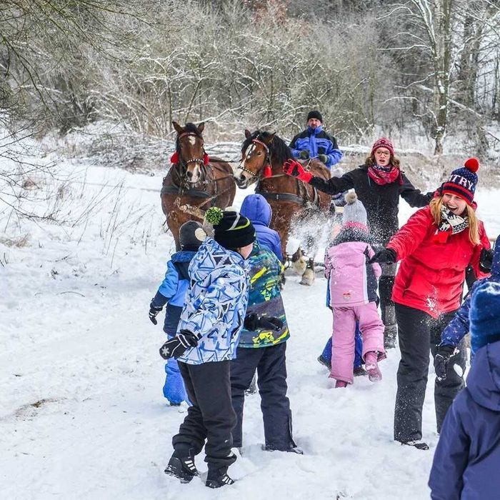 DOM NA KASZUBACH NA WYŁĄCZNOŚĆ max. 22 osób, blisko Wieżycy, kuligi!
