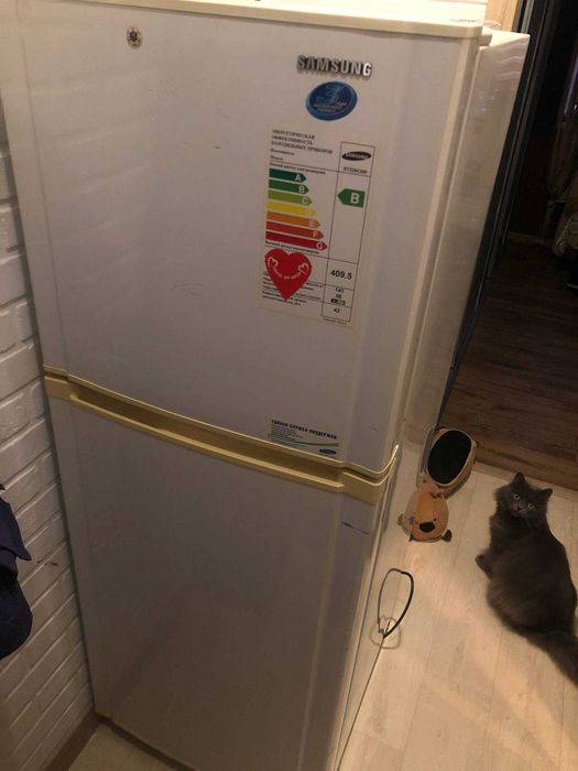 Холодильник Samsung RT22SCSW