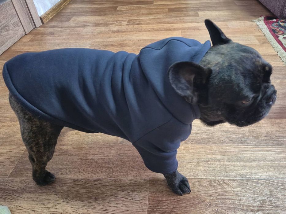Одяг для собак худі.