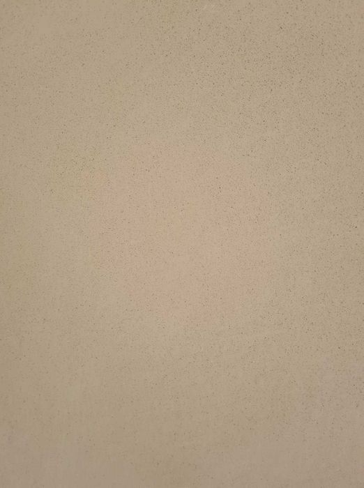 TYNKI maszynowe- gipsowe, cementowo-wapienne