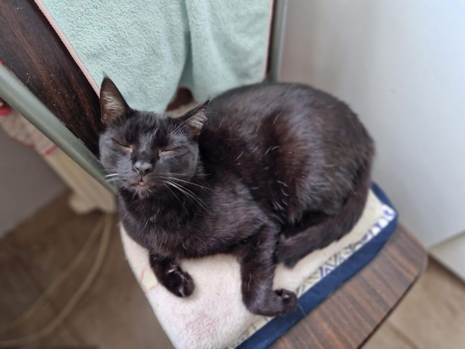 KRYSTIAN I GREY szukają domku