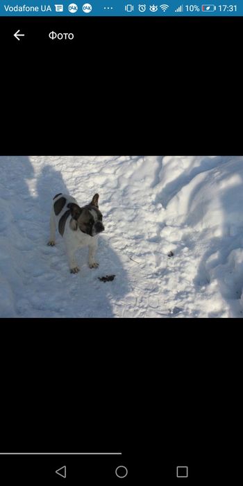 Мальчик француз ищет подружку