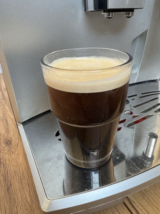 Ekspres do kawy DeLonghi ESAM 03.120.S