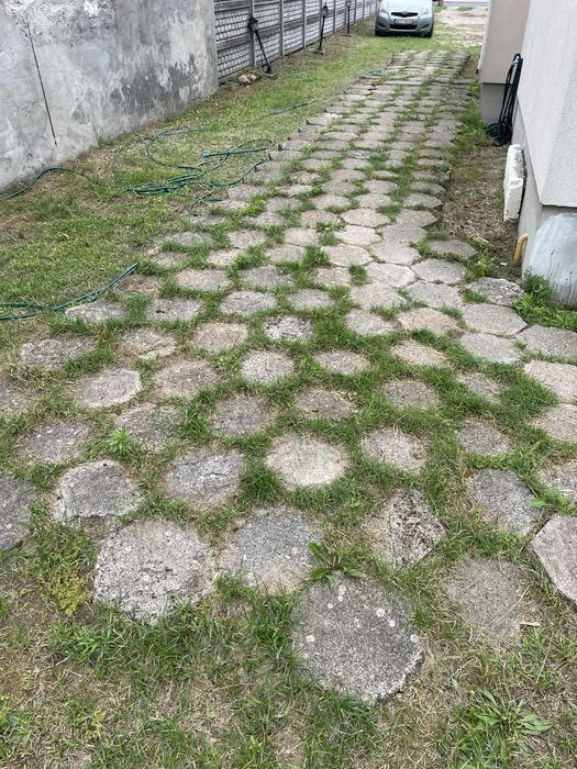 Trylinka szesciokątna