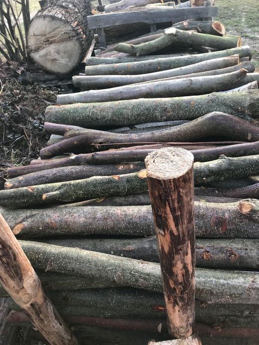 Drewno Olcha Olszyna na opal, do kominka lub wędzenia.