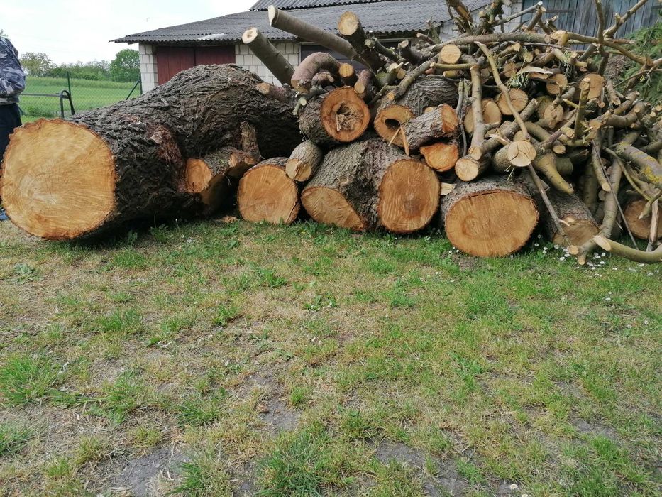 Drewno opałowe Sosna i wierzba