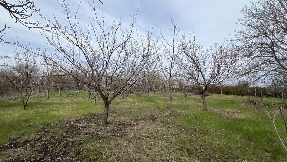 Шукаєте дачу для душі? В нас є саме те, що треба!