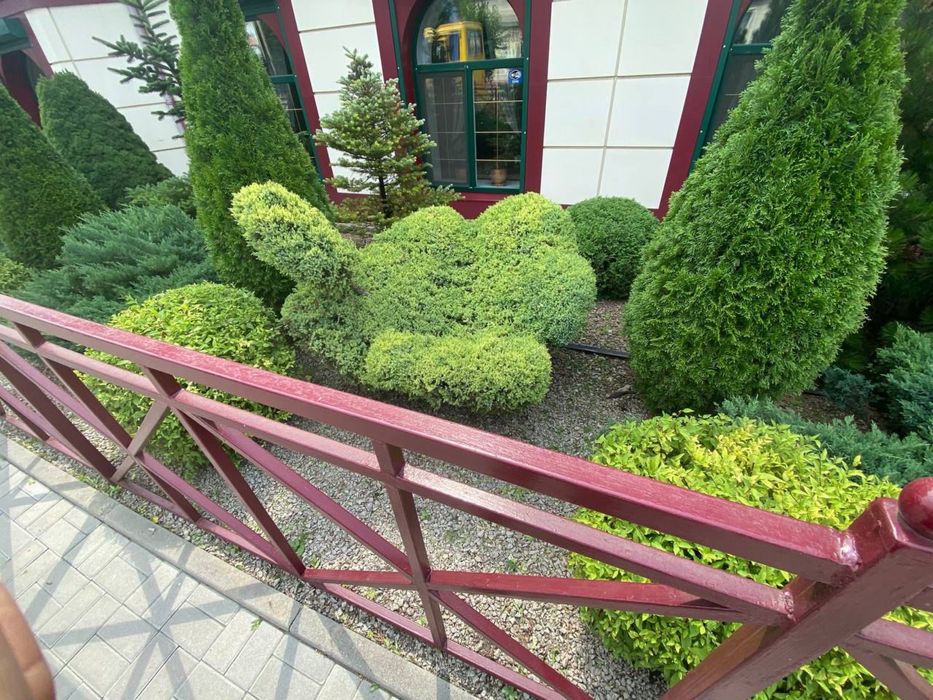 Професійний догляд за насадженями. Озеленення