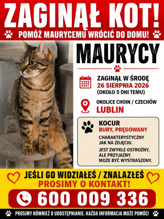 ZAGINĄ Kocur Maurycy CHOINY Lublin Czechów