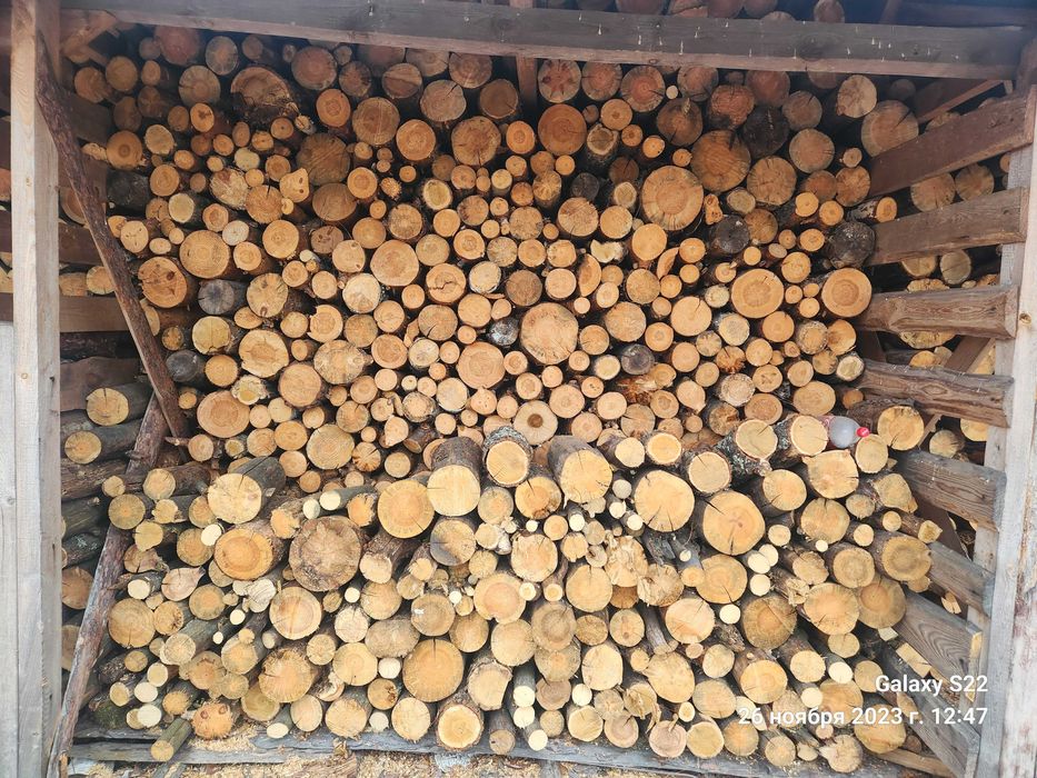 Продам дрова різного виду