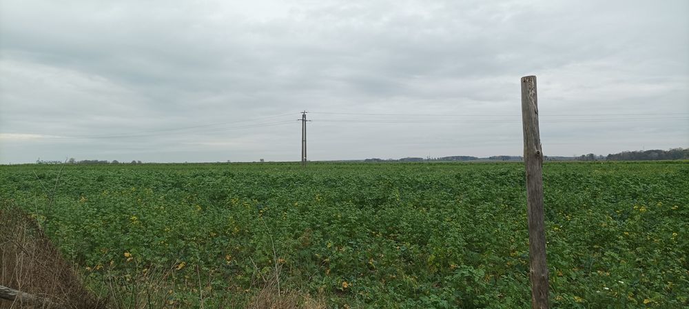 Sprzedam działkę budowlaną - piękna okolica