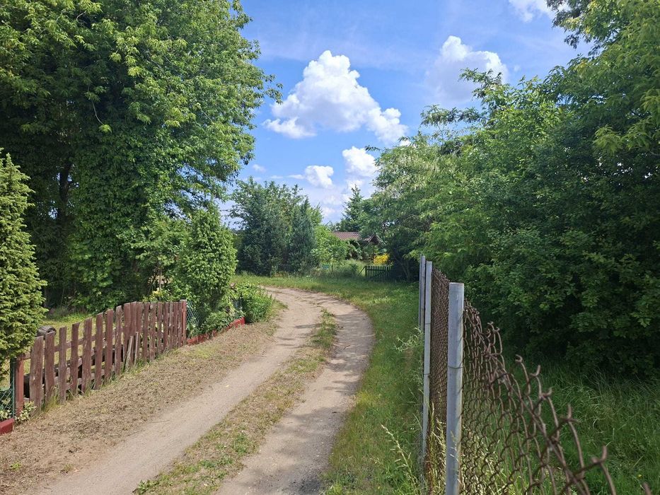 Dwie graniczące ze sobą działki ROD Narwik Gdańsk
