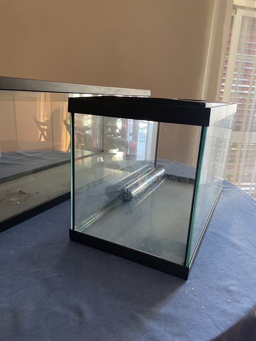 Aquário para peixes/répteis
