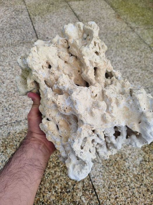 Pedra Coral para aquário