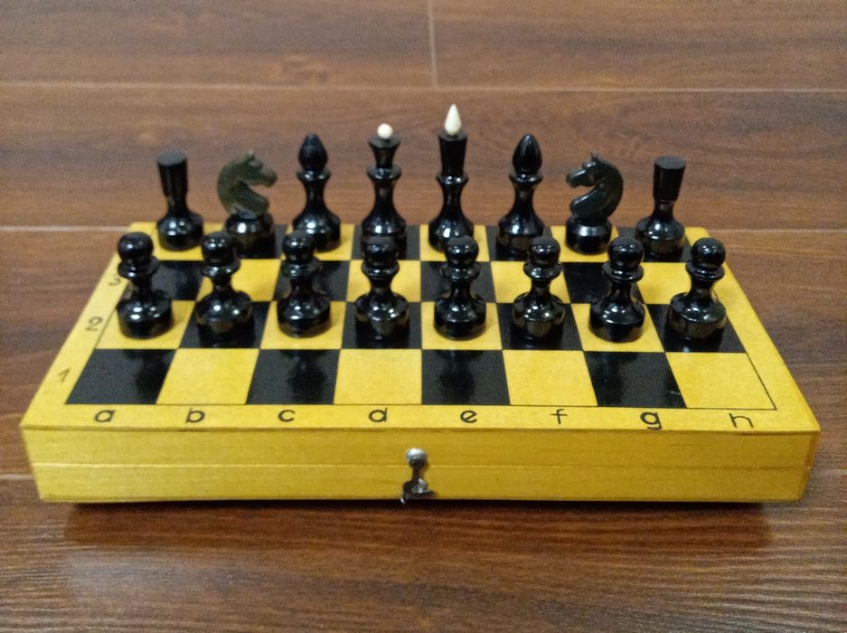 Шахмати, шахи СССР- Нові 1973 р.