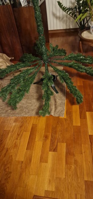 Arvore de Natal Real
