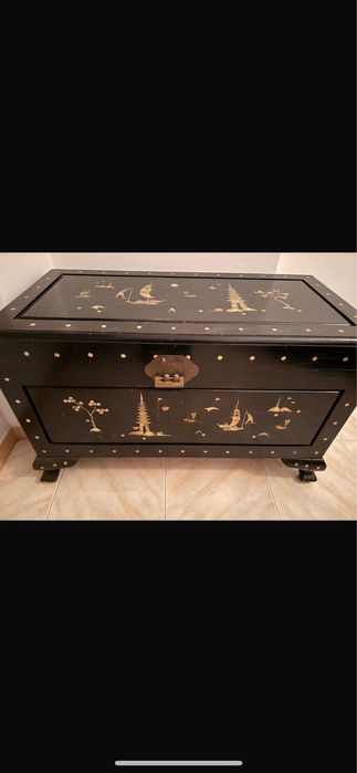 Arca chinesa lindissima