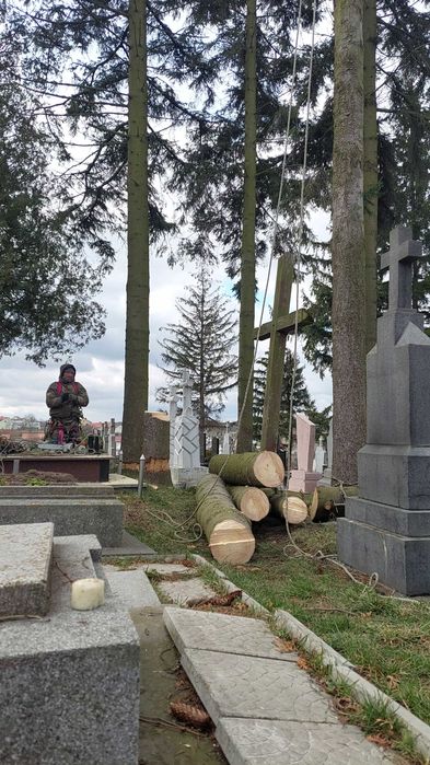 Обрізка складних,важкодоступних дерев Львів та область