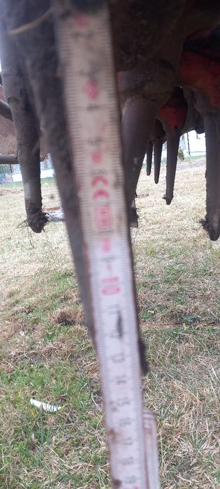 Brona Aktywna Lely witam