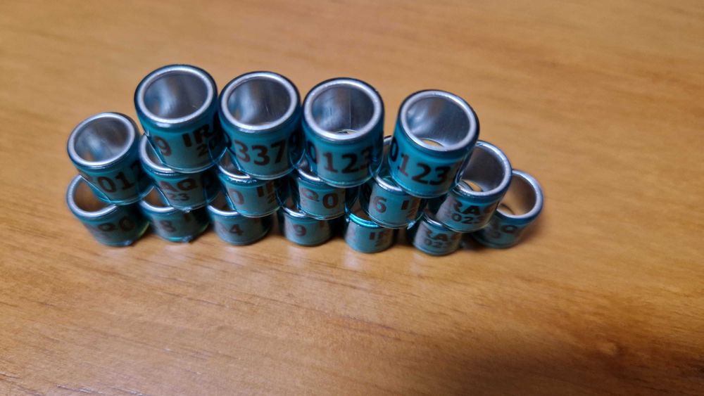 50 anilhas pombos 2025