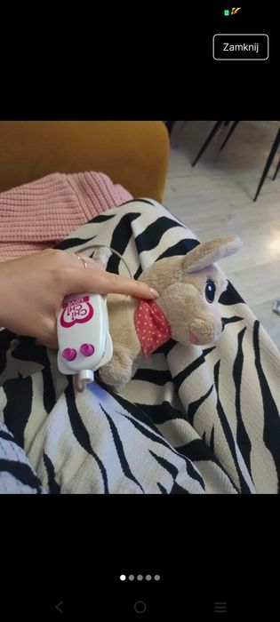 Piesek Chi Chi Love Simba 3+