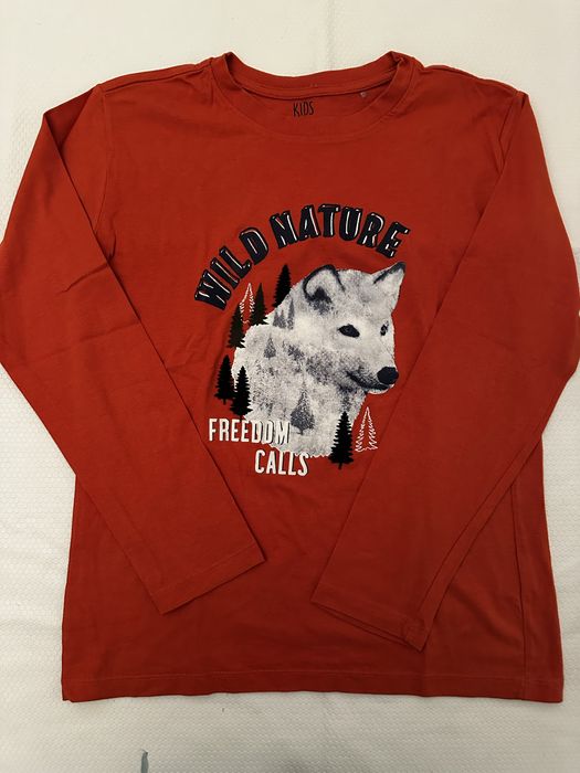 Varias pecas tshirts e sweat 12-14