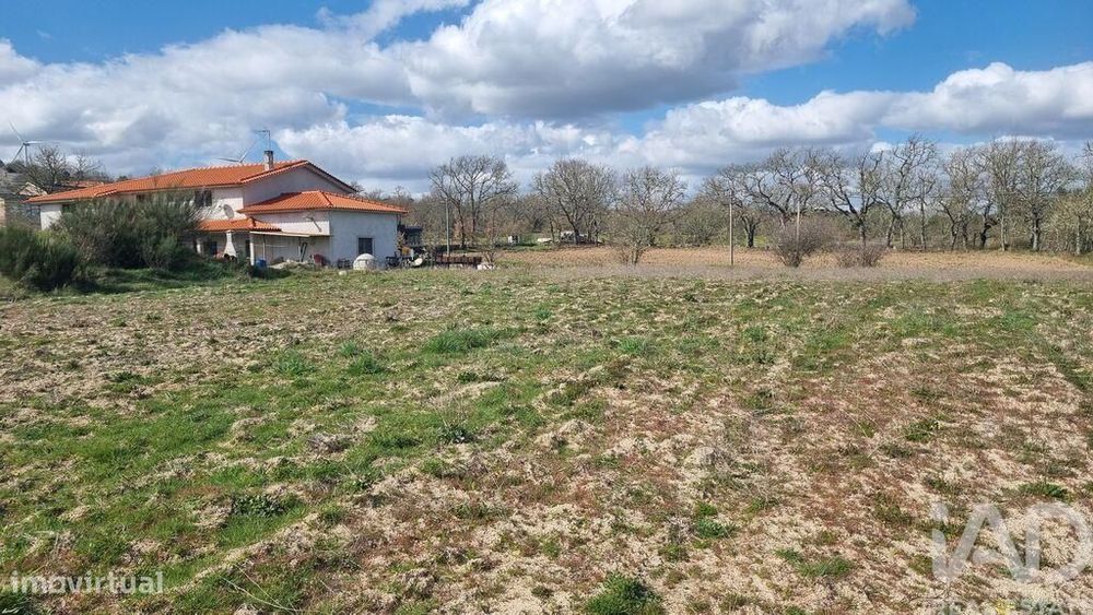 Terreno para construção em Pêra do Moço