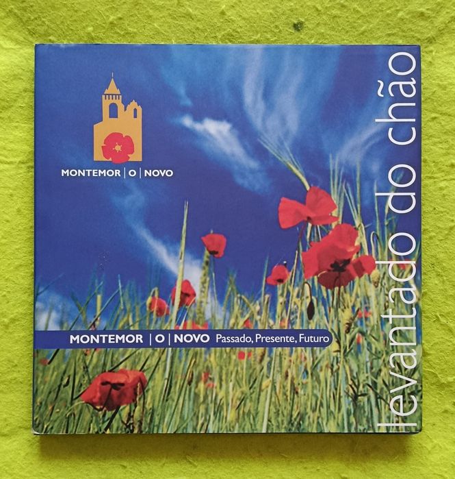 Livro LEVANTADO DO CHÃO  ( Montemor-o-Novo )