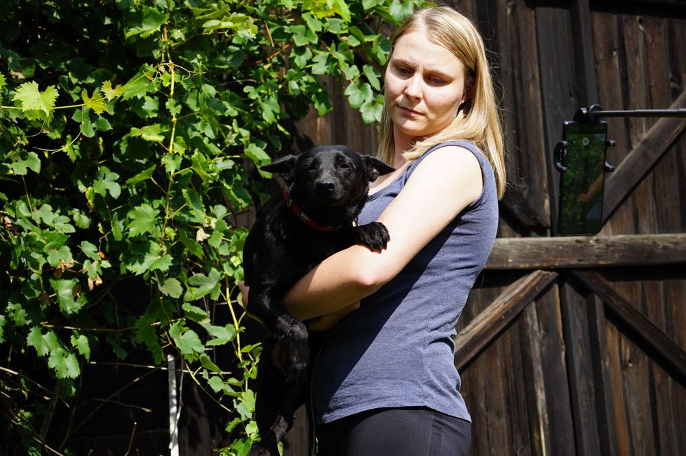 Lena - śliczna sunia szuka domu