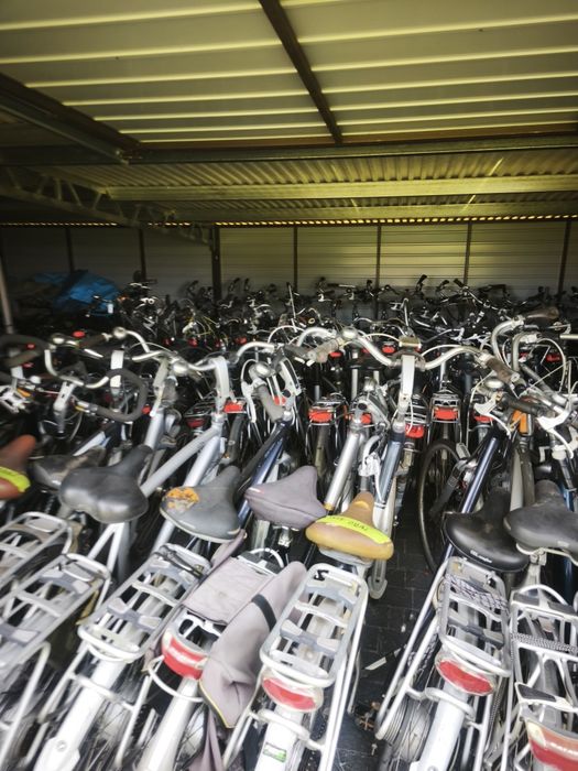 Pakiet rowerów ION Sparta Batavus 50 szt