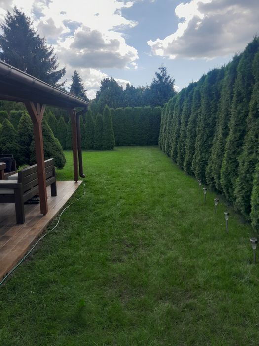 Sprzedam działkę Rod Łęg Włocławek - Widok 4