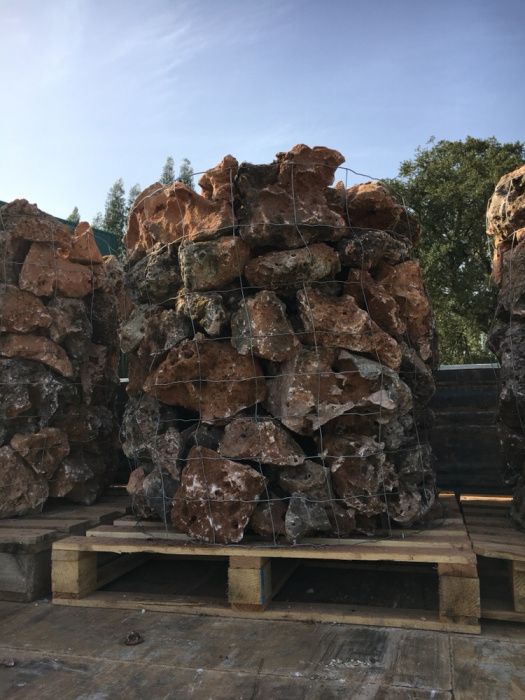 Decorativa jardim furada vermelhos