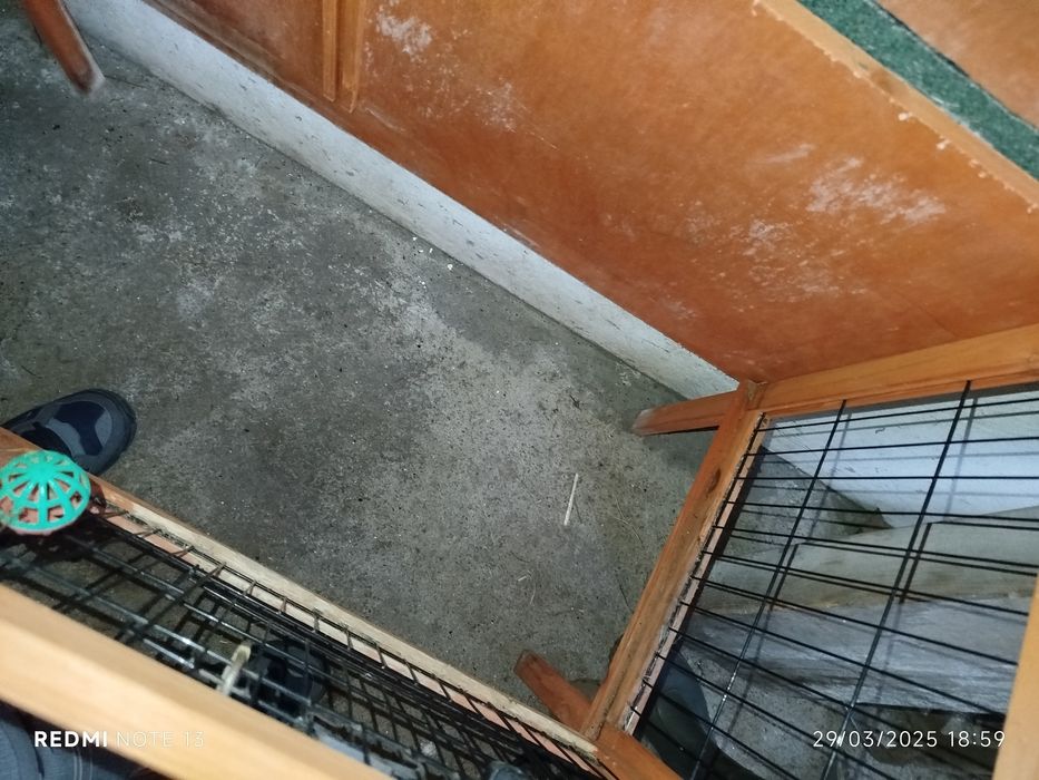 Coelheira de duas portas