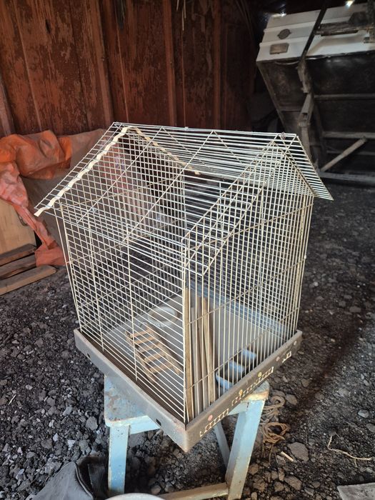 Крлітка для папуг