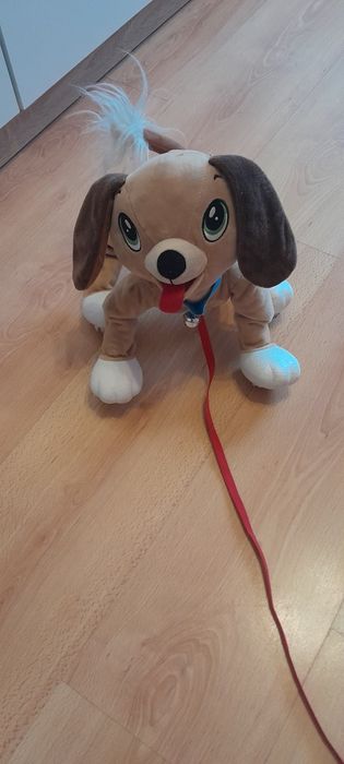 Interaktywny pies boogie