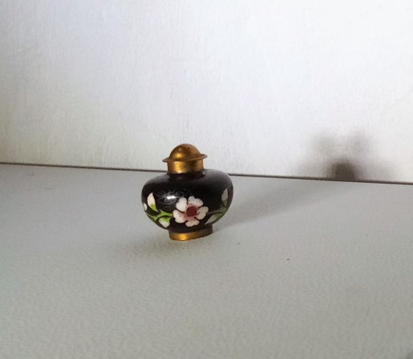 Pequeno pimenteiro em glasoné