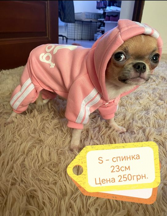 Одежда для собак и кошек