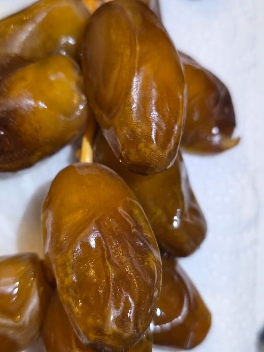 Tâmaras/ dattes/تمر (deglet Nour Algérie)