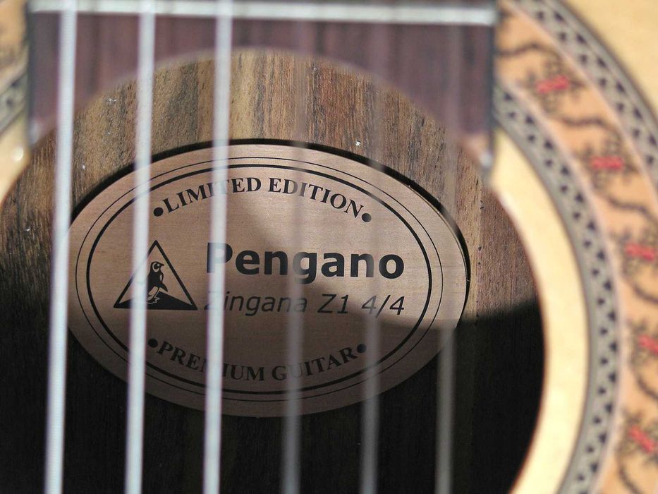 Dobra gitara klasyczna 4/4