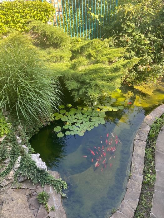 Продажа дома со своим берегом