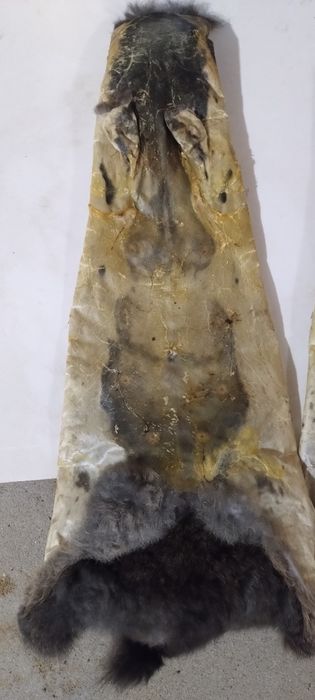 Шкури/хутро кролика сушені