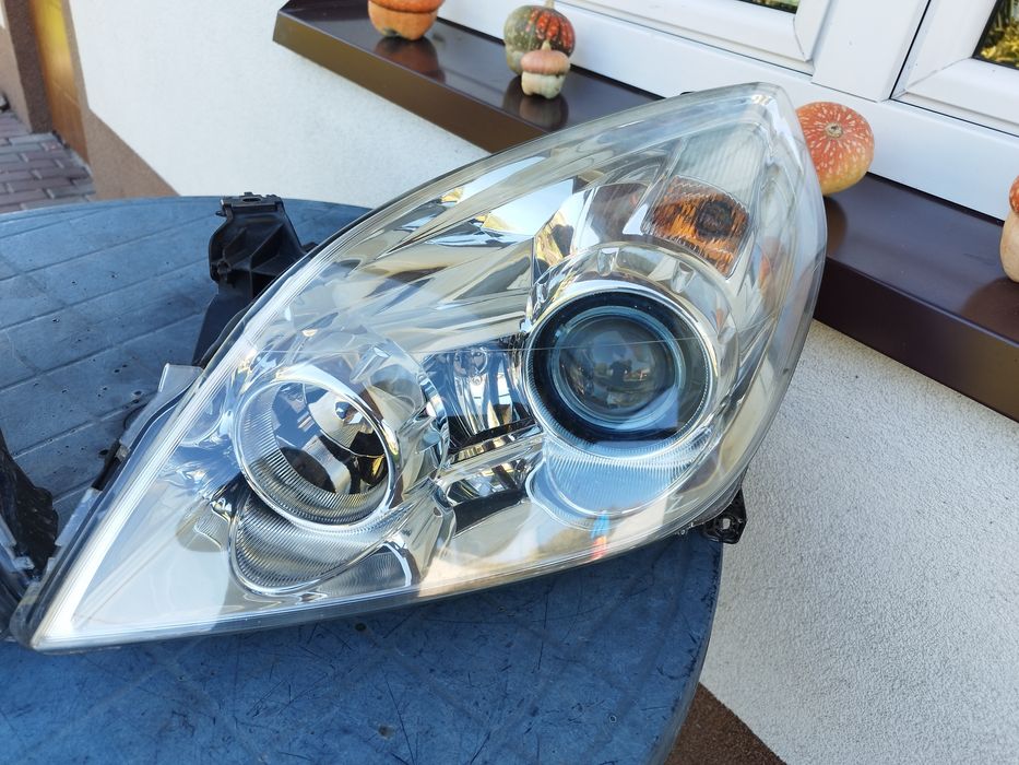 Xenon bixenon Vectra signum