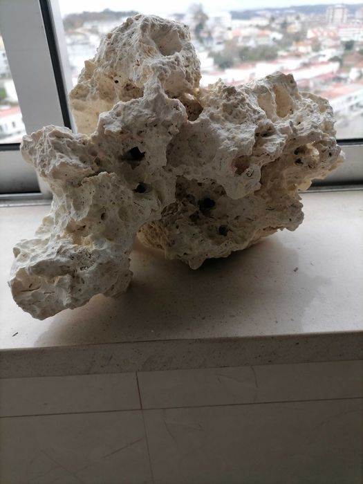 Pedra natural para aquário