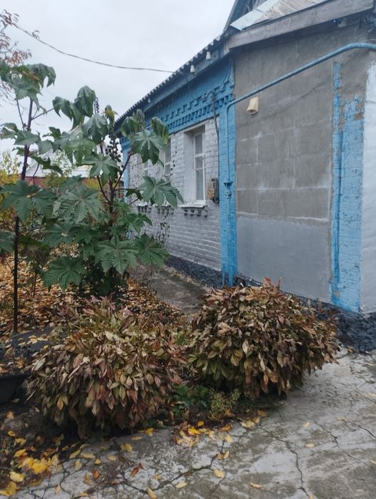 Продам будинок в м. Карлівка