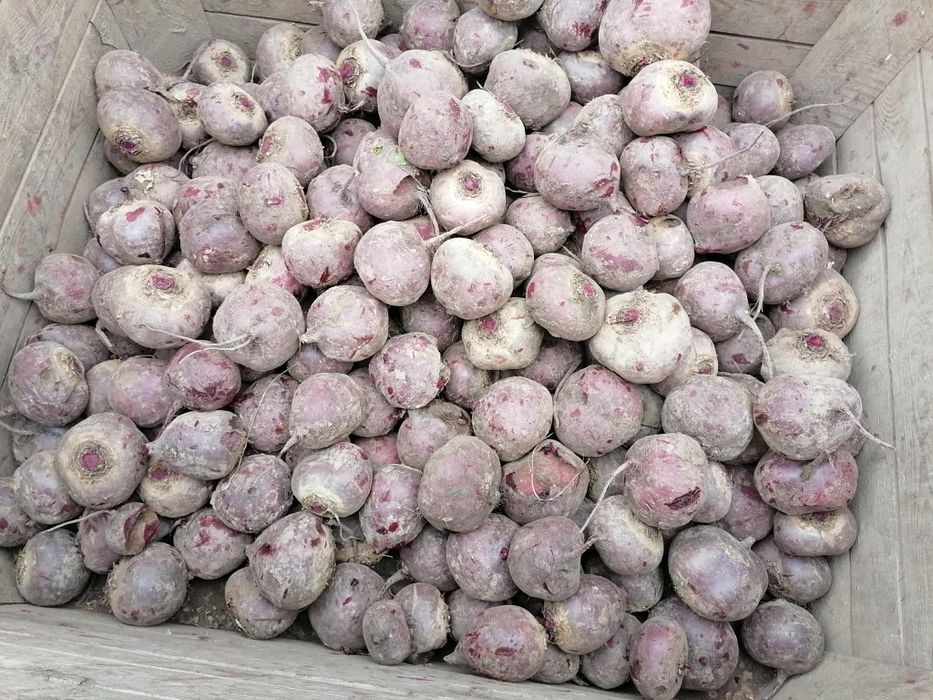 Pyszne buraczki wysyłka inpost